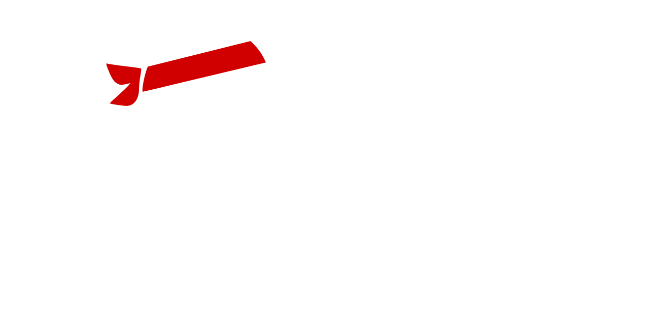 FlyerNinja